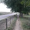 david.martin93