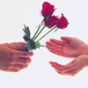 aomkhalid1202