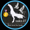 sakz.07