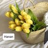 hanan.moftah