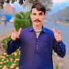azhartanoli240