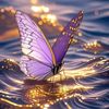 mariposaher
