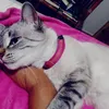 ilda.maria13