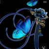 adrihur378
