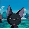 real_n077