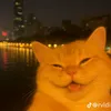 moonqvv79