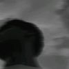 sohibsohib.3