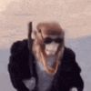 wmonkey3