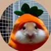 nutdiwaaa