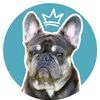 benny_french