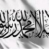 mohamed.said6342