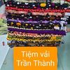 tiemvaitranthanh
