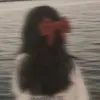 szystarx_