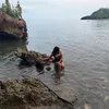 jomardinulan