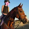 horse1134