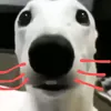 ichikaiko_