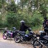 aril_200cc