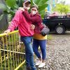 gunawan0568