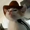 nhiiziuoi