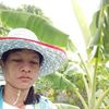thangsai.khamon