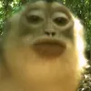 riyriyriy6