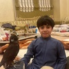 zayedalshehhi577