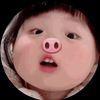 npoppysouliphan