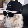kocheng_swag