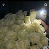 serikkalieva_111