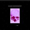 audiosensory6