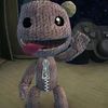 cam_dagoat1