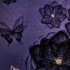 user79117156217172