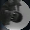el_donz