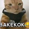 bakekok154
