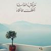 user1980239080724