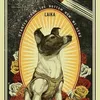 laika.the.spacedog