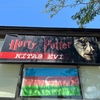 Harry Potter Kitab evi 2