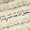 bushraa641