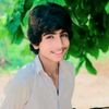 dilawar.sutrana