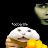 fahrifebriansyah741