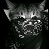 bilaz_06