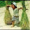 u.aye.shwe44