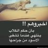 ابو عمر