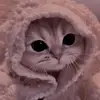 memeng5786