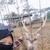 ini_niez25