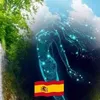 etasoyyo