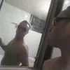 marcelorocha105