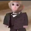 potato_554466