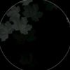 llost.zh