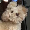 niinnaabear22